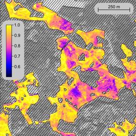 Remote Sensing in Geo- and Ecosystem Research