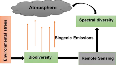 Schematic representation of the primary research goals, which aim to establish a correlation between spectral diversity and biogenic emission in order to investigate the impact of environmental stress on biodiversity.