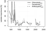 Advantages of Retrieving Pigment Content [Mg/Cm2] versus Concentration [%] from Canopy Reflectance