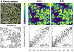 Convolutional Neural Networks Accurately Predict Cover Fractions of Plant Species and Communities in Unmanned Aerial Vehicle Imagery