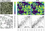 Convolutional Neural Networks Accurately Predict Cover Fractions of Plant Species and Communities in Unmanned Aerial Vehicle Imagery