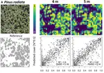 Convolutional Neural Networks Accurately Predict Cover Fractions of Plant Species and Communities in Unmanned Aerial Vehicle Imagery