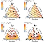 Radiative Transfer Modelling Reveals Why Canopy Reflectance Follows Function
