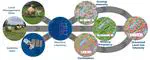 Mapping Land-Use Intensity of Grasslands in Germany with Machine Learning and Sentinel-2 Time Series