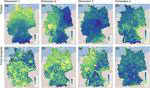 Crowd-Sourced Plant Occurrence Data Provide a Reliable Description of Macroecological Gradients