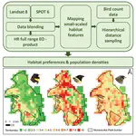 Combining Multiband Remote Sensing and Hierarchical Distance Sampling to Establish Drivers of Bird Abundance