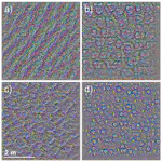 Mapping Forest Tree Species in High Resolution UAV-based RGB-imagery by Means of Convolutional Neural Networks