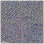 Mapping Forest Tree Species in High Resolution UAV-based RGB-imagery by Means of Convolutional Neural Networks
