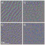 Mapping Forest Tree Species in High Resolution UAV-based RGB-imagery by Means of Convolutional Neural Networks